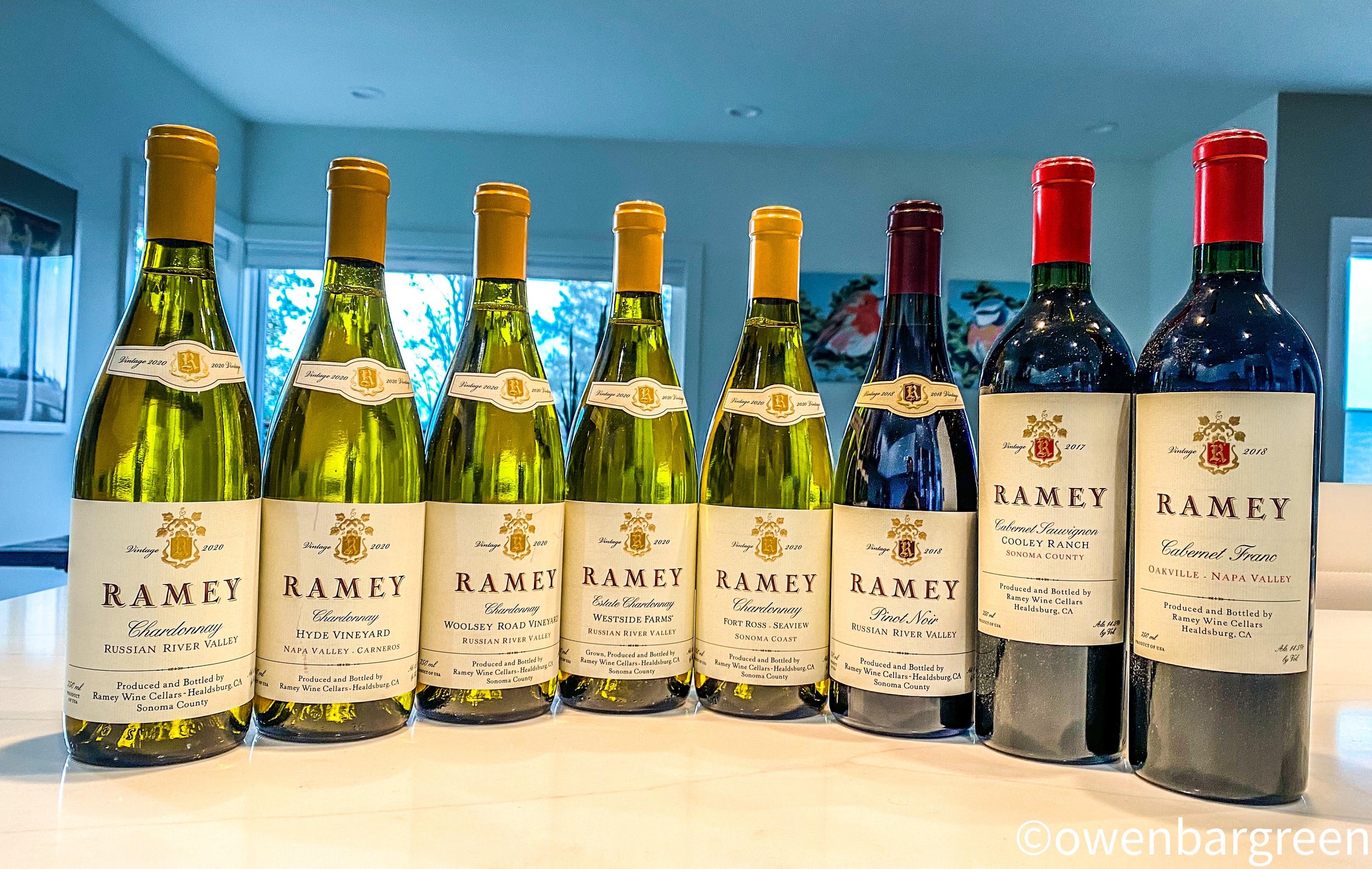 RAMEY シャルドネ 2019 HYDE VINEYARD(レイミー・ワイン RAMEY シャルドネ 2019 HYDE VINEYARD(レイミー・ワイン